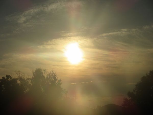 f:id:maronmame:20220210145925j:plain