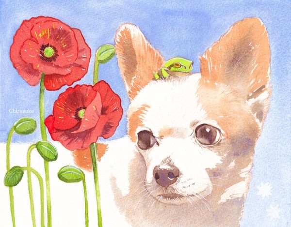 f:id:maronmame:20220221092140j:plain