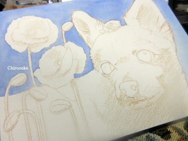 f:id:maronmame:20220221092643j:plain