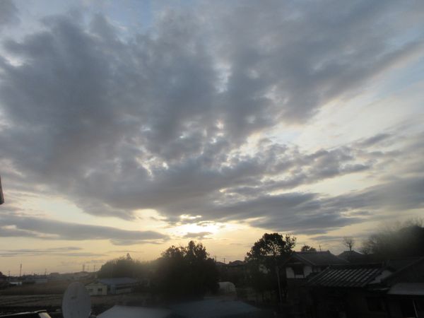 f:id:maronmame:20220221092811j:plain