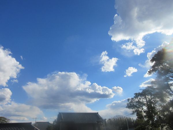 f:id:maronmame:20220221092842j:plain