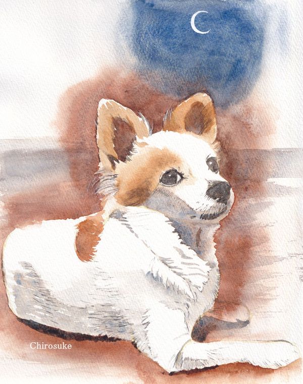 f:id:maronmame:20220227152617j:plain