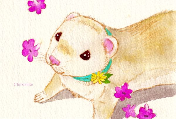 f:id:maronmame:20220227152838j:plain