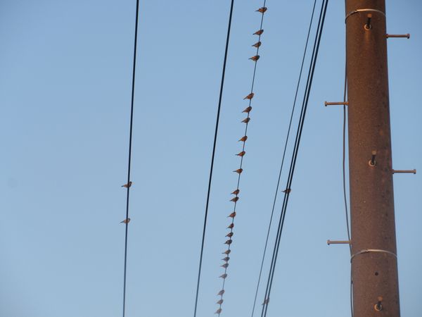 f:id:maronmame:20220227153512j:plain