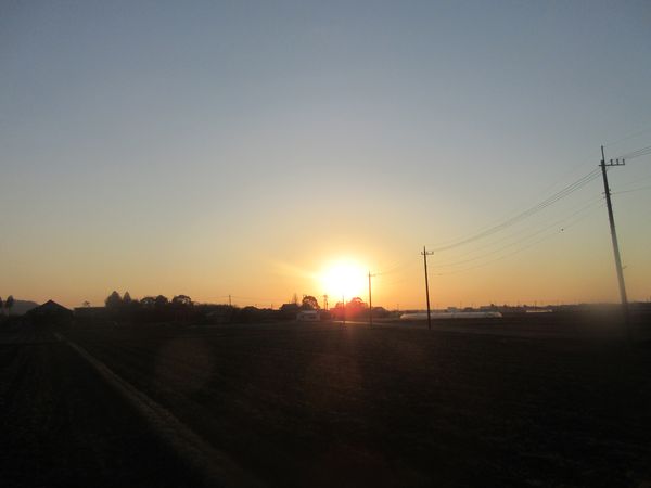 f:id:maronmame:20220227153602j:plain