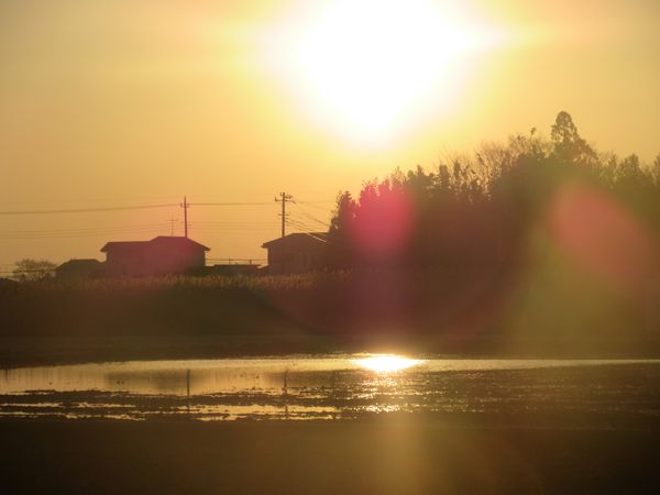 f:id:maronmame:20220227153701j:plain