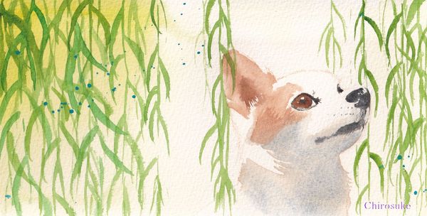 f:id:maronmame:20220314134258j:plain