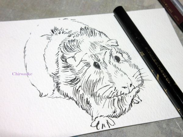 f:id:maronmame:20220314134531j:plain