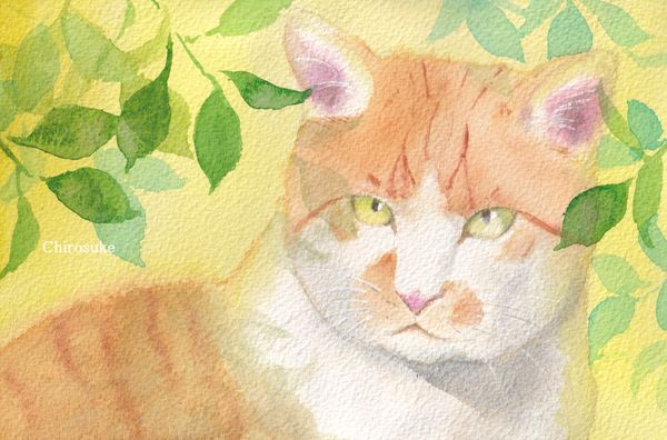 f:id:maronmame:20220314135034j:plain