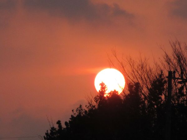 f:id:maronmame:20220314135118j:plain