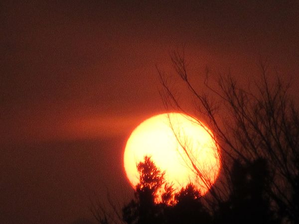 f:id:maronmame:20220314135139j:plain