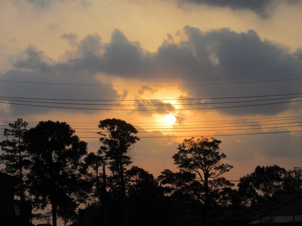 f:id:maronmame:20220314135229j:plain