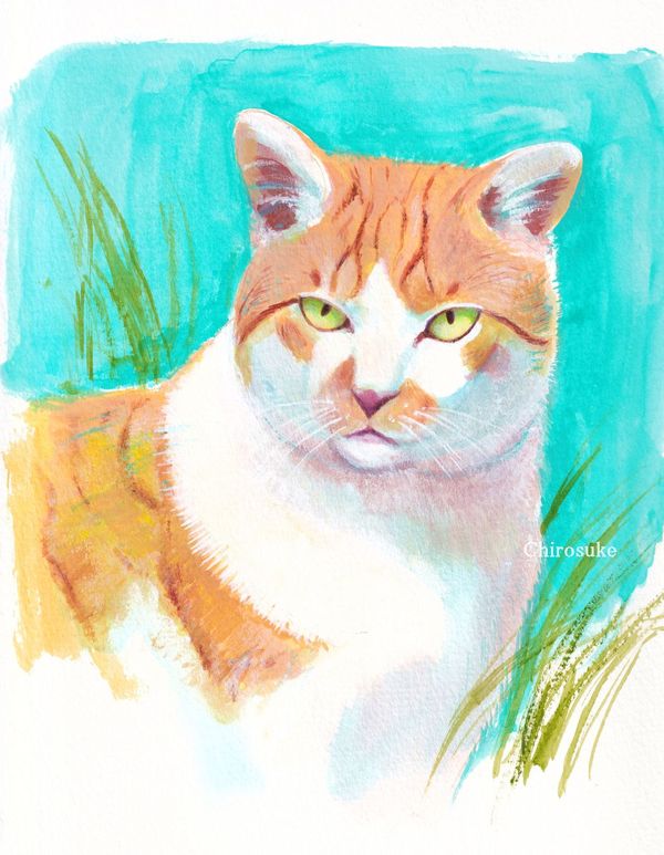 f:id:maronmame:20220318081908j:plain