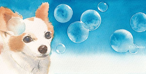 f:id:maronmame:20220318082128j:plain