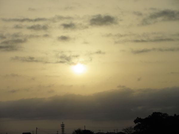 f:id:maronmame:20220318082239j:plain