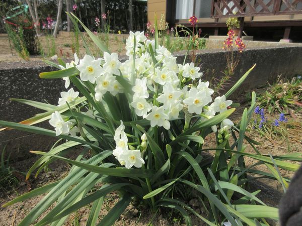 f:id:maronmame:20220318082408j:plain