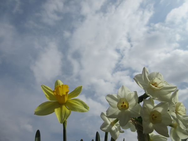 f:id:maronmame:20220318082430j:plain