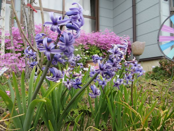 f:id:maronmame:20220318082512j:plain