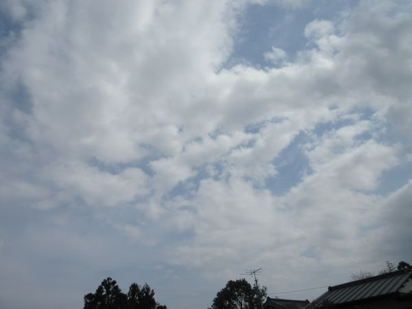 f:id:maronmame:20220318082532j:plain