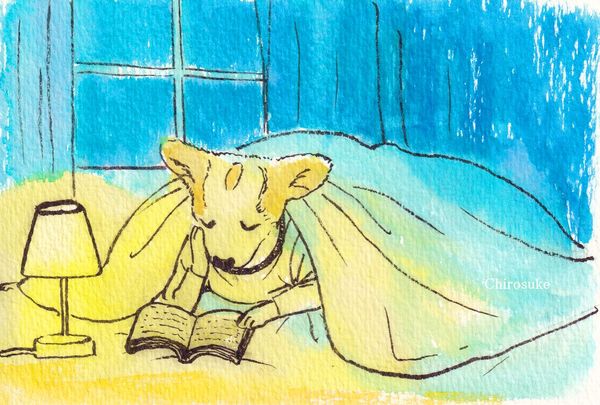 f:id:maronmame:20220324150035j:plain