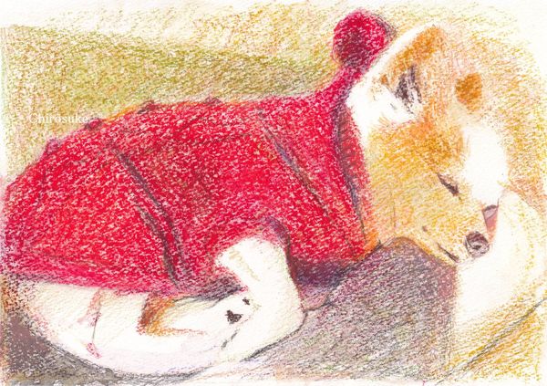 f:id:maronmame:20220324150631j:plain