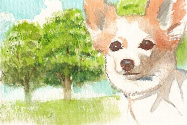 f:id:maronmame:20220324150818j:plain