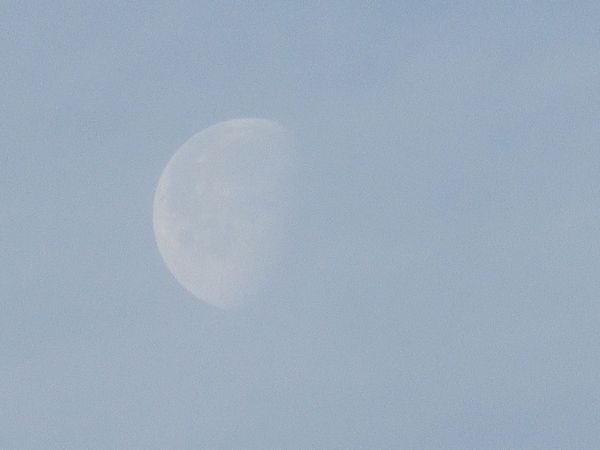 f:id:maronmame:20220324151055j:plain