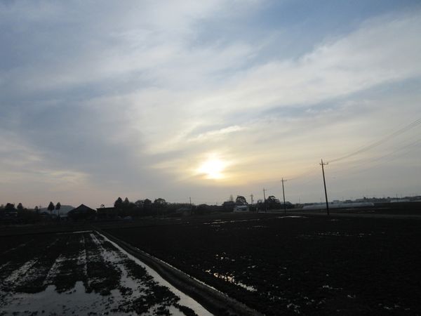 f:id:maronmame:20220324151216j:plain