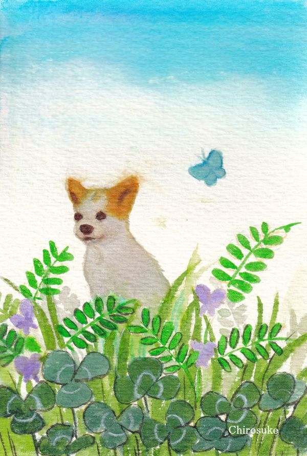 f:id:maronmame:20220409190807j:plain