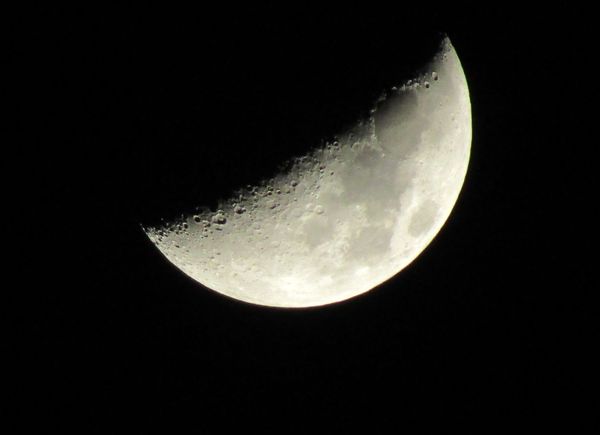 f:id:maronmame:20220409190949j:plain