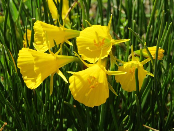 f:id:maronmame:20220409191141j:plain