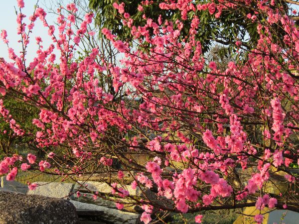 f:id:maronmame:20220409191215j:plain