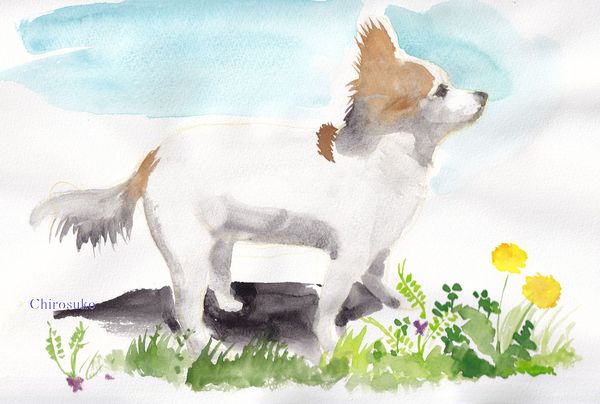 f:id:maronmame:20220412142730j:plain