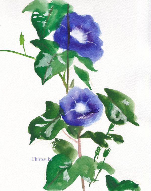 f:id:maronmame:20220412142916j:plain