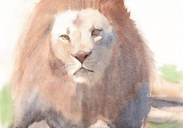 f:id:maronmame:20220412143216j:plain