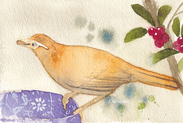 f:id:maronmame:20220412143412j:plain