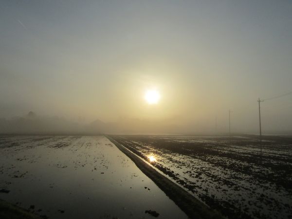 f:id:maronmame:20220412143533j:plain