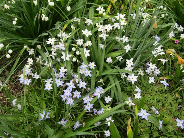 f:id:maronmame:20220412143654j:plain