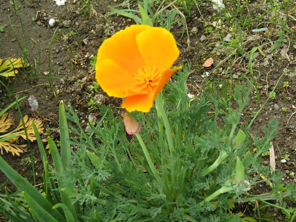 f:id:maronmame:20220412143750j:plain