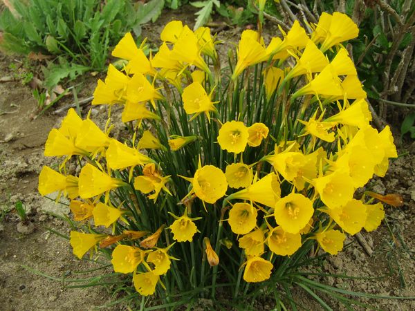 f:id:maronmame:20220412143825j:plain