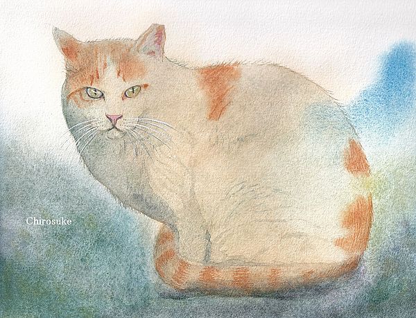 水彩画 夏野菜2 - ちろとまろんの水彩画