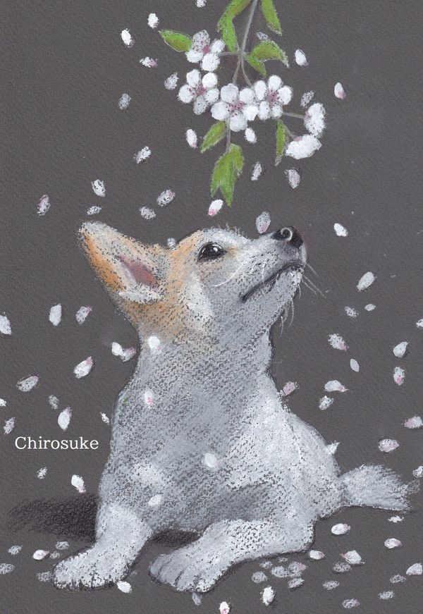 パステル画 春を待つ - ちろとまろんの水彩画