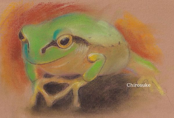 ✴️特別価格【原画】『碧眼のギロ』（カエル 絵画 パステル画 