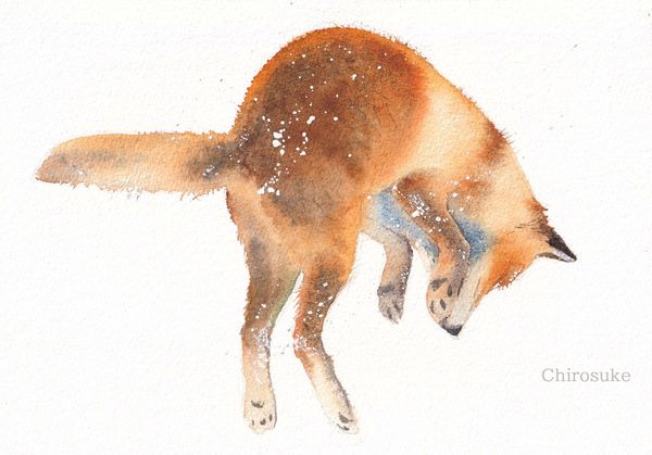 水彩画 花とシマエナガ、ジャンプするキツネ - ちろとまろんの水彩画