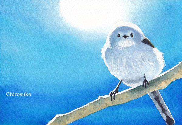水彩画 シマエナガの日 - ちろとまろんの水彩画