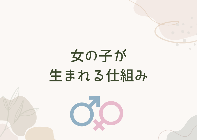 女の子が生まれる仕組み