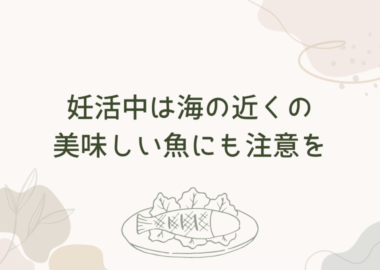 妊活中は海の近くの美味しい魚にも注意を