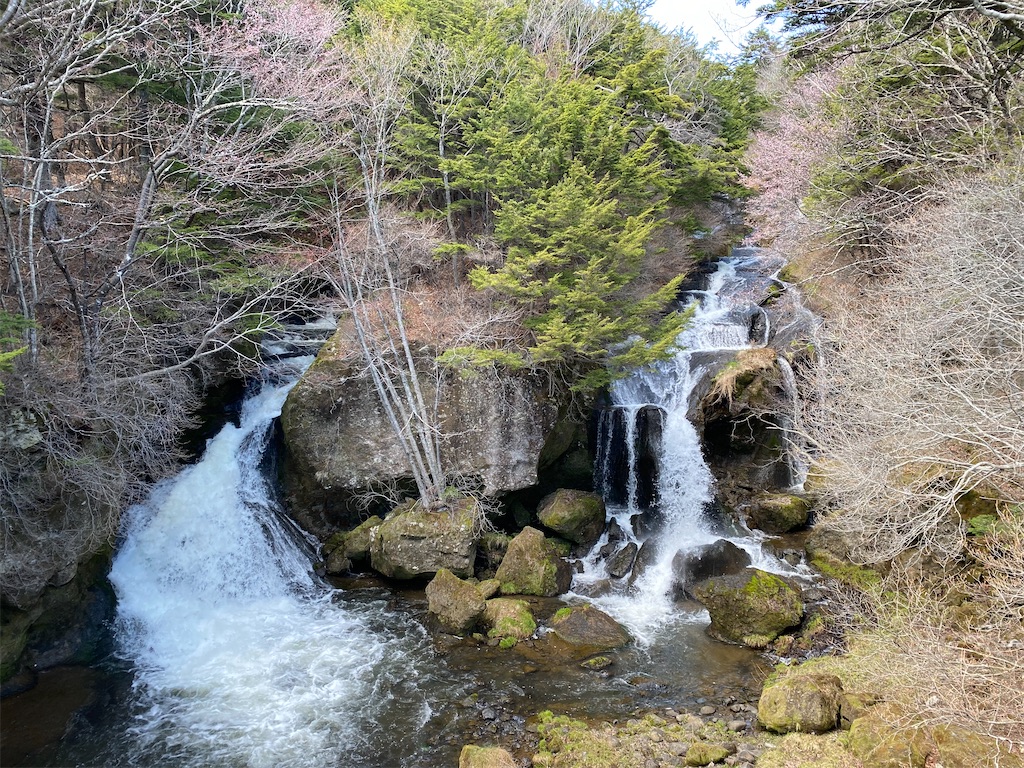 f:id:maronsiba:20220628215517j:image