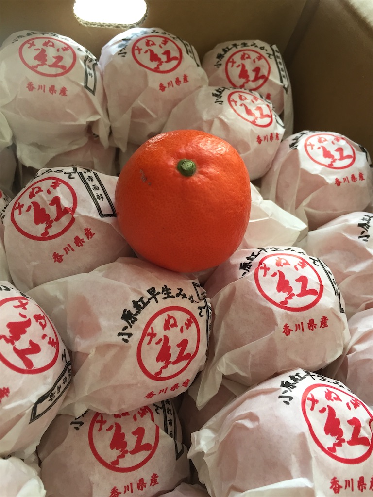 f:id:maropiko:20170201095450j:image f:id:maropiko:20170201095450j:image