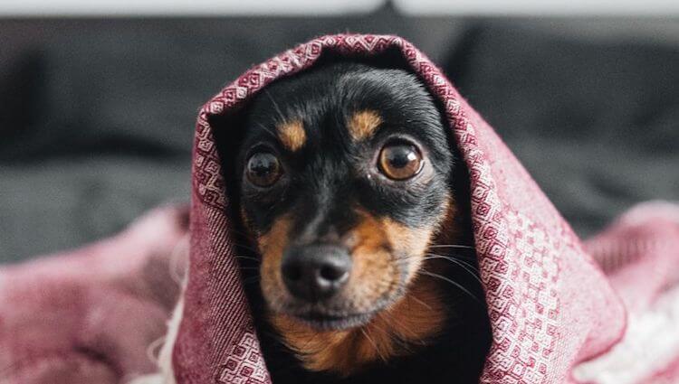 f:id:marorika:20180227005919j:plain 悩んでるイメージ